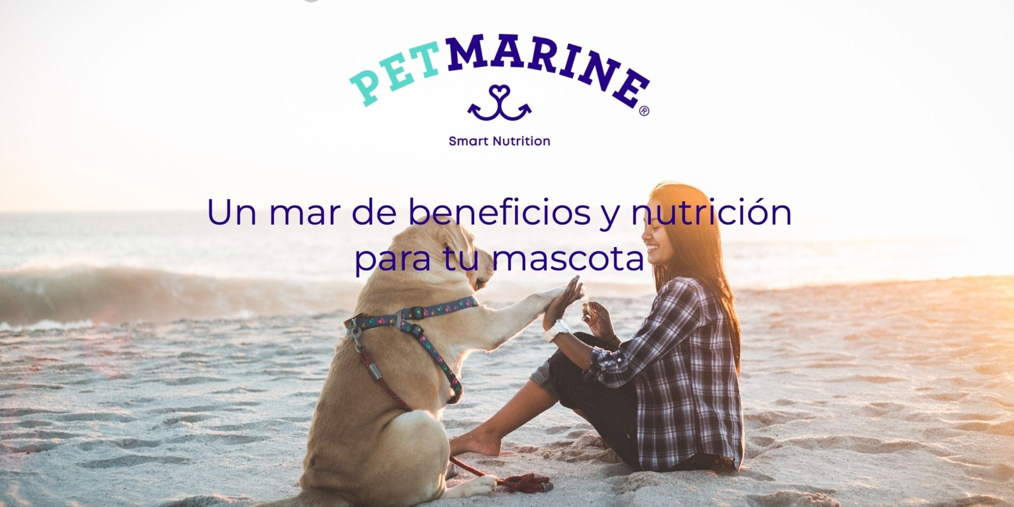 Pet Marine - Milo Pet Shop