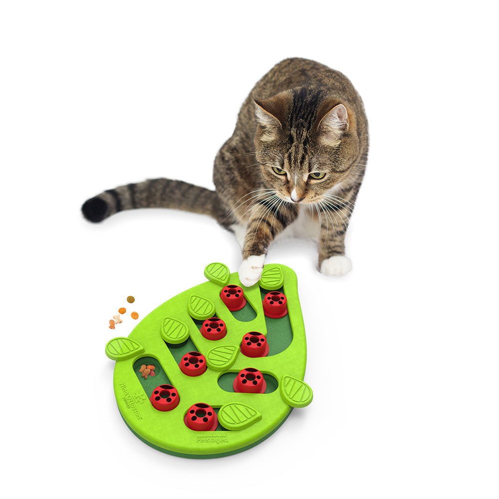 Nina Ottosson Puzzle Gatos Buggin Out Nivel 2 - Premium Juguetes para gatos from Nina Ottosson - al mejor precio $21390! Compra ahora en Milo Pet Shop